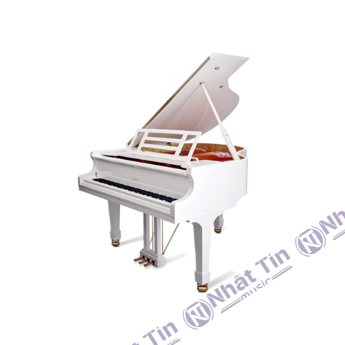 Đàn Grand Piano Feurich 162 - '' Dynamic I ''