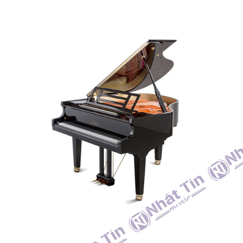 Đàn Grand Piano Feurich 162 - '' Dynamic I ''