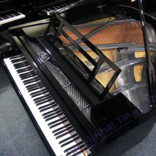 Đàn Grand Piano Feurich 162 - '' Dynamic I ''