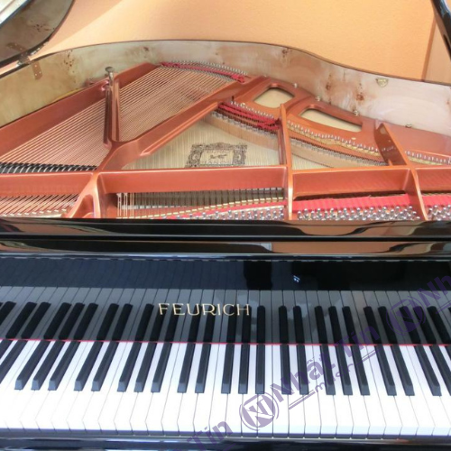Đàn Grand Piano Feurich 162 - '' Dynamic I ''