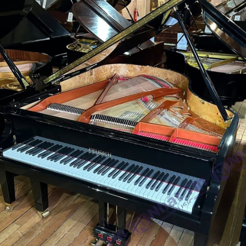 Đàn Grand Piano Feurich 179 - '' Dynamic II ''