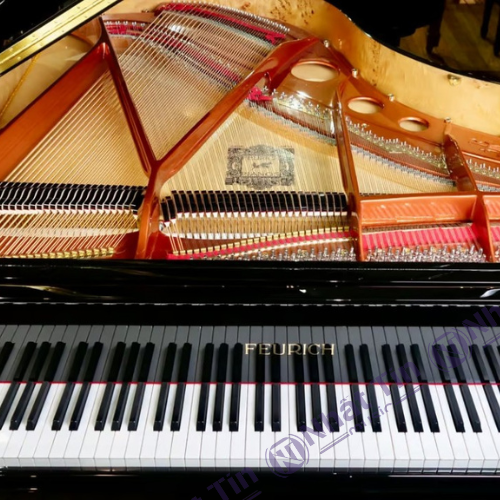 Đàn Grand Piano Feurich 179 - '' Dynamic II ''