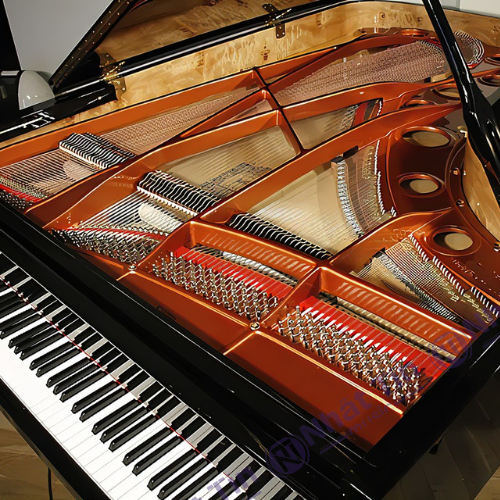 Đàn Grand Piano Feurich 218 - '' Concert I ''