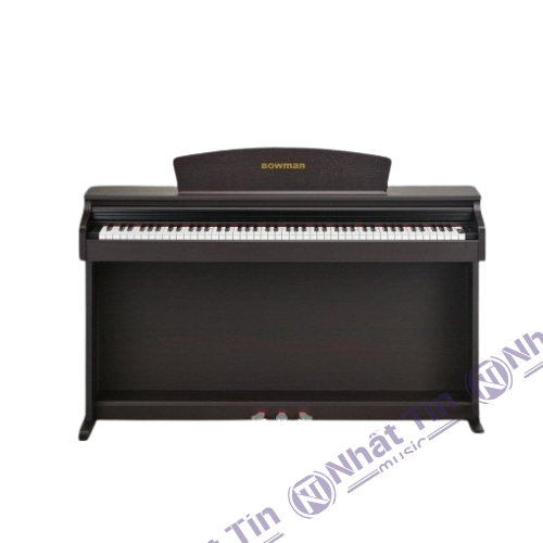 Đàn piano điện BOWMAN CX-250