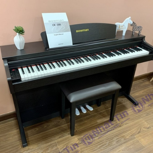Đàn piano điện BOWMAN CX-250