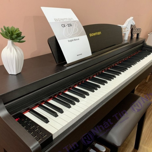 Đàn piano điện BOWMAN CX-250