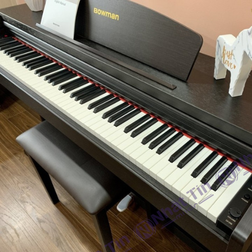 Đàn piano điện BOWMAN CX-250