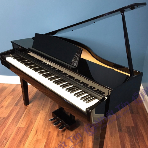 Đàn piano điện Kawai DG30