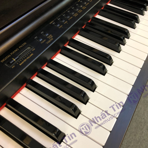 Đàn piano điện Kawai PN250