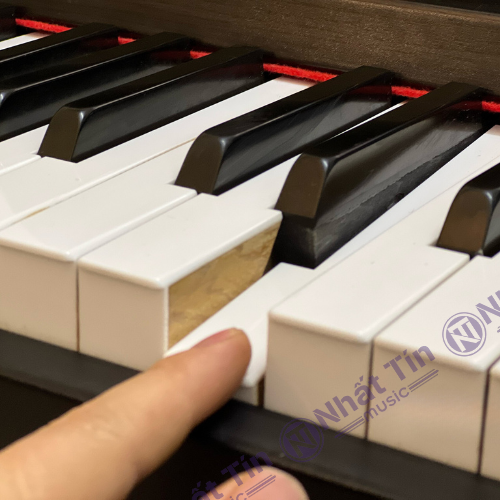 Đàn piano điện Kawai PW500