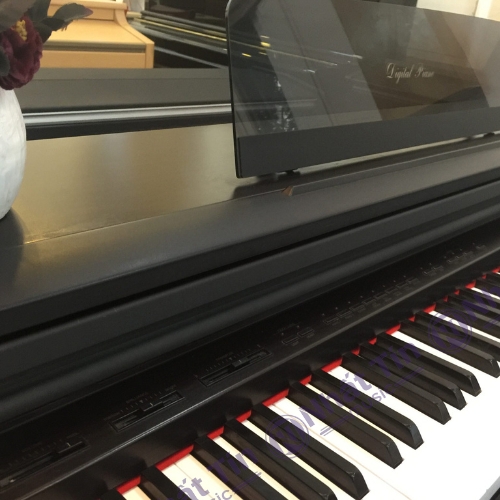 Đàn piano điện Kawai PW600