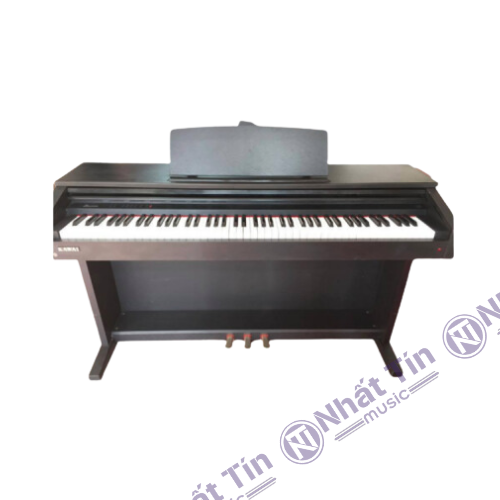 Đàn piano điện Kawai RT30