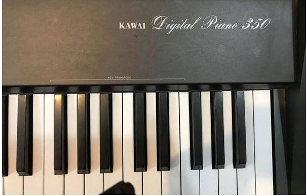 Đàn Piano Điện Kawai PW 350