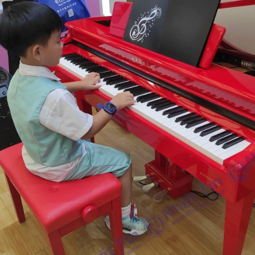 Đàn piano điện Apollo AG 10 (Chính hãng full box 100%)