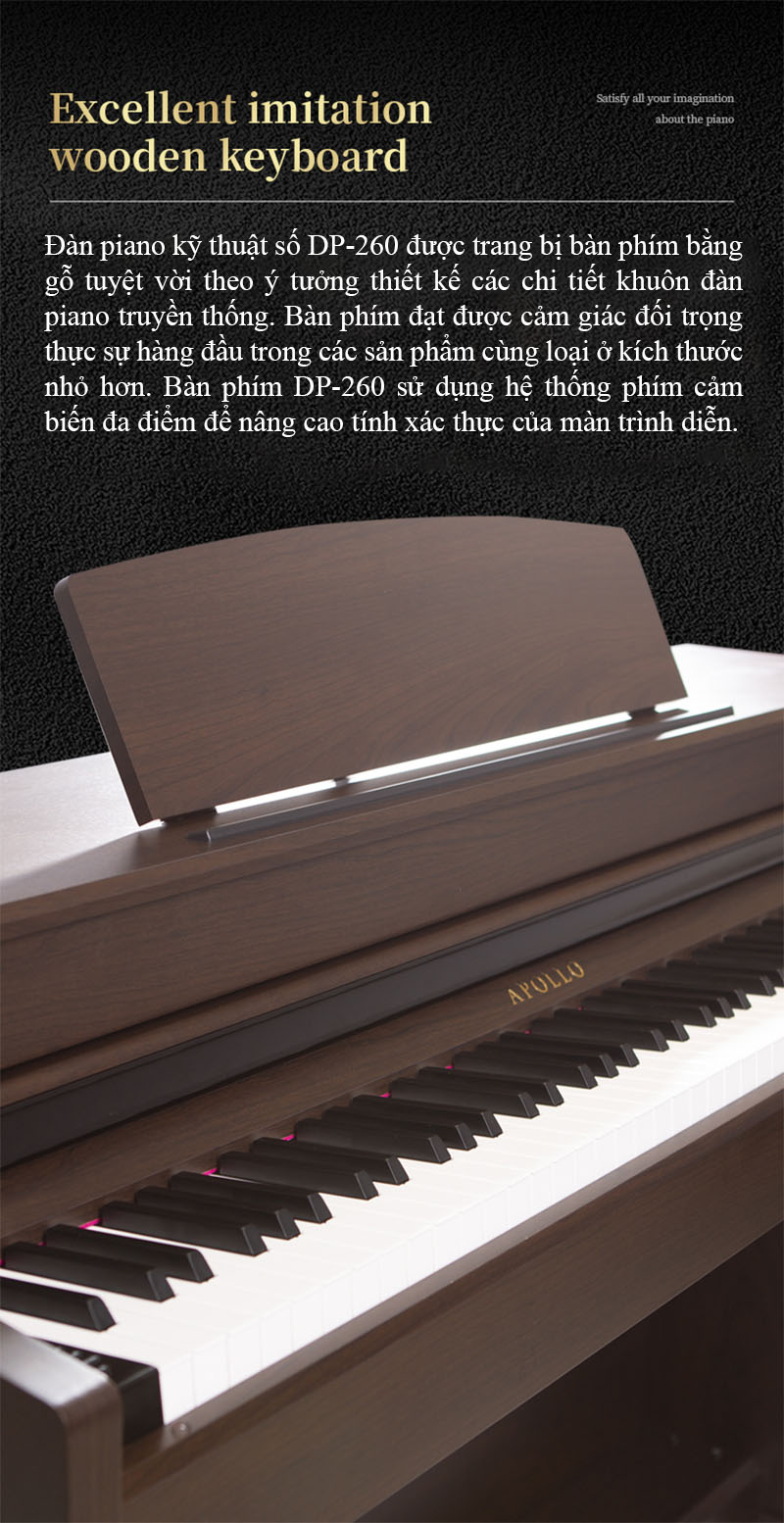 Piano điện Apollo DP 260( Chính hãng full box 100%)  