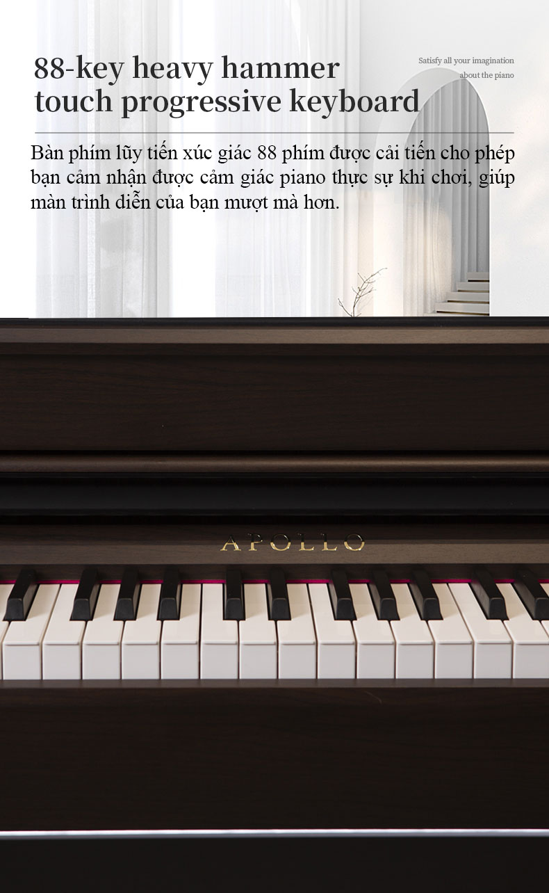 Piano điện Apollo DP 260( Chính hãng full box 100%)  