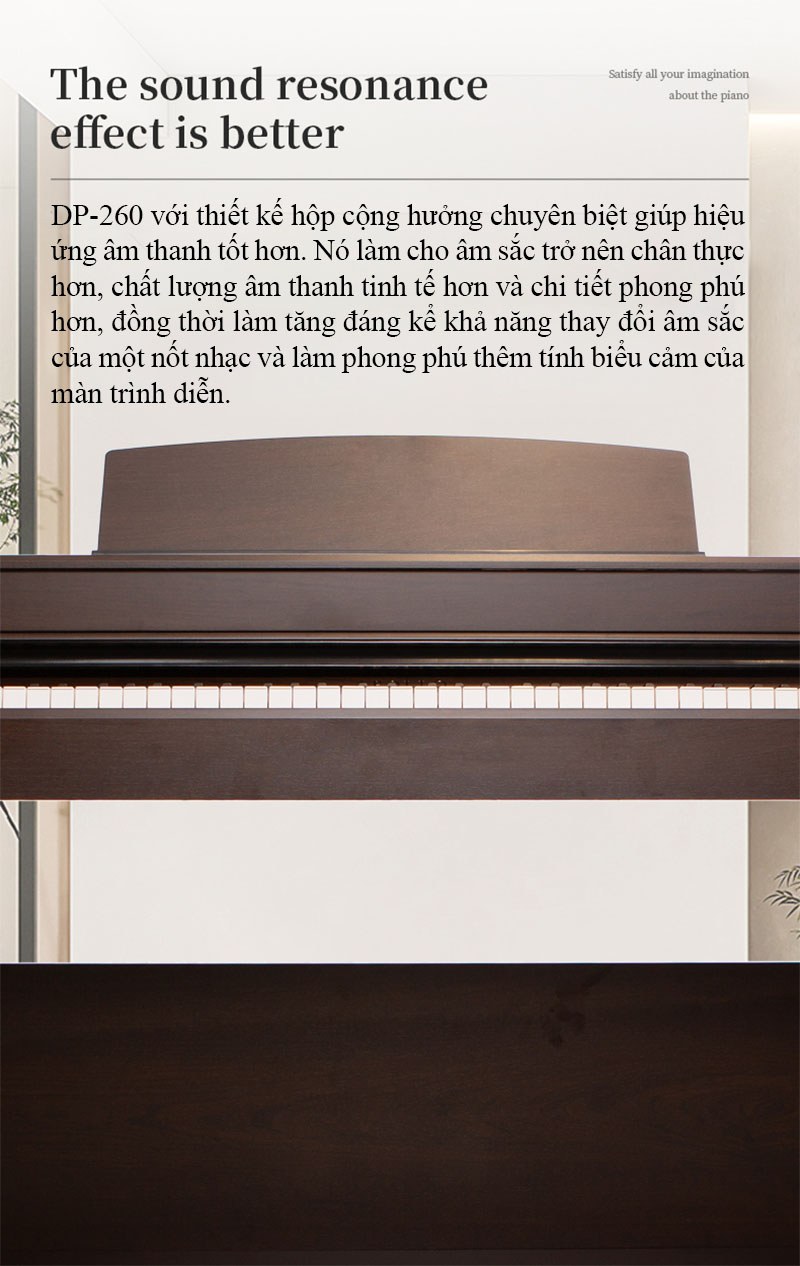 Piano điện Apollo DP 260( Chính hãng full box 100%)  
