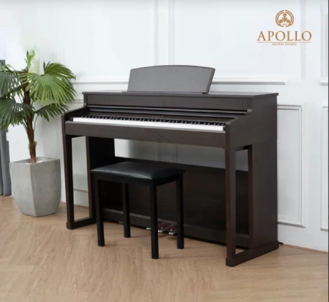 Piano điện Apollo DP 260( Chính hãng full box 100%)  
