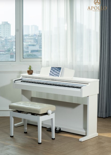 Piano điện Apollo DP 66( Chính hãng full box 100%) 