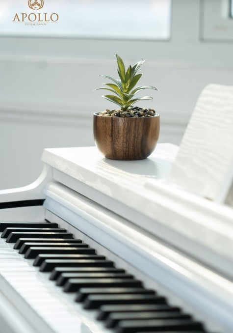 Piano điện Apollo DP 66( Chính hãng full box 100%) 