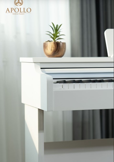 Piano điện Apollo DP 66( Chính hãng full box 100%) 