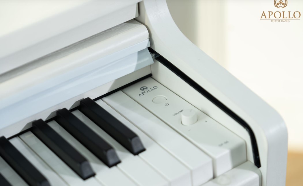 Piano điện Apollo DP 66( Chính hãng full box 100%) 