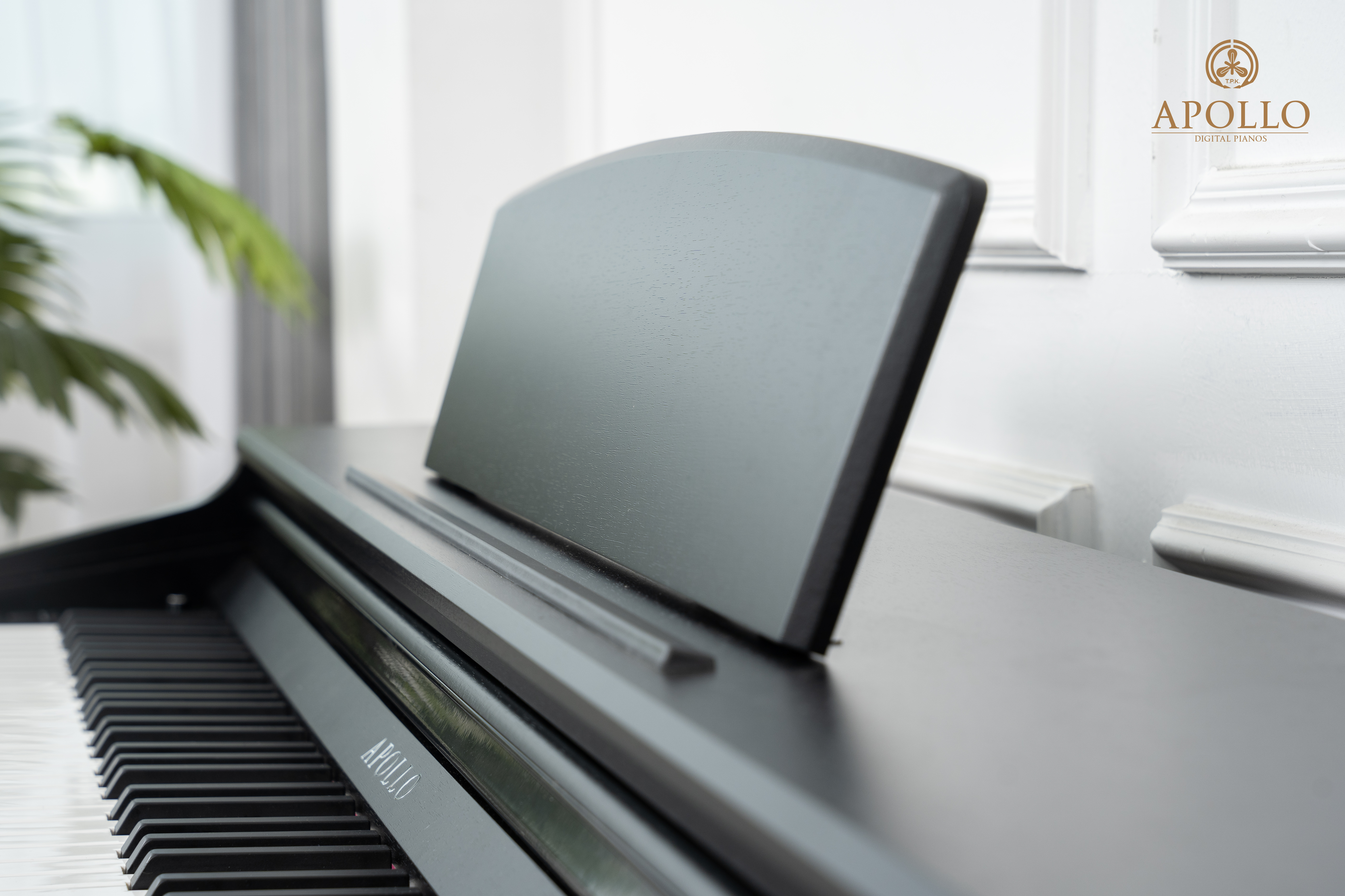 Piano điện Apollo DP 160( Chính hãng full box 100%)