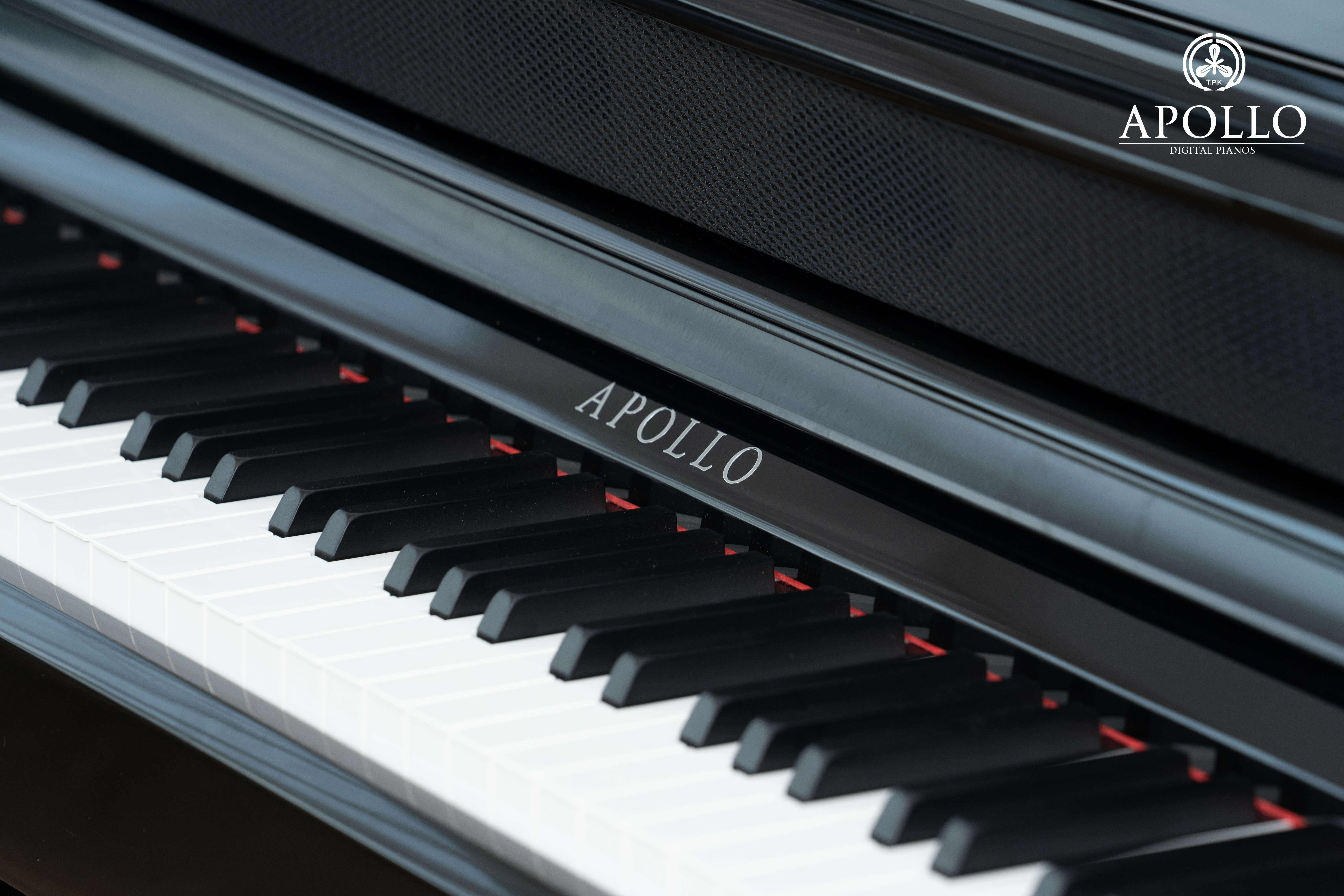 Piano điện Apollo KP88 ( Chính hãng full box)
