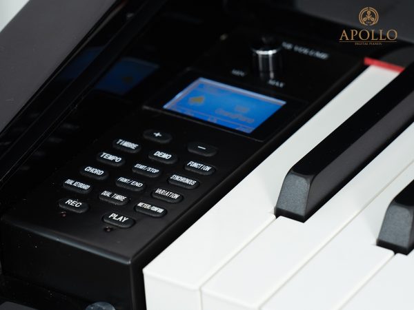 Piano điện Apollo KP88 ( Chính hãng full box)