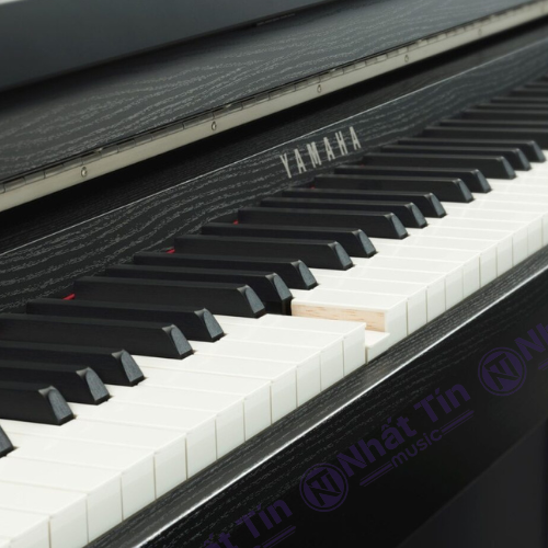 Đàn piano điện Yamaha CLP685