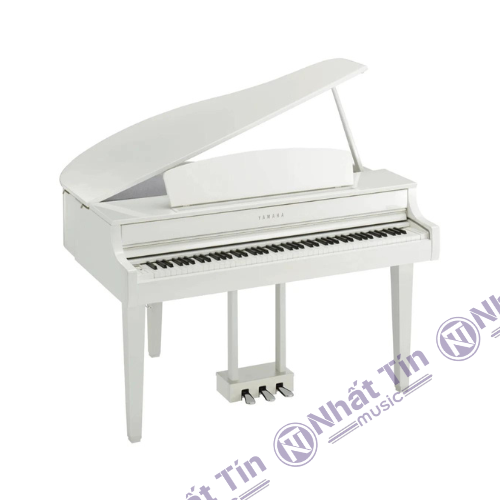 Đàn piano điện Yamaha CLP765 GP