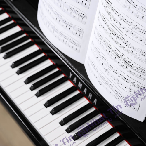 Đàn piano điện Yamaha CLP885