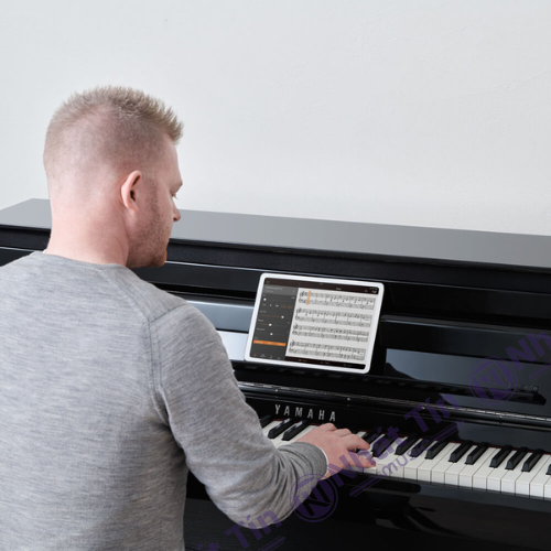 Đàn piano điện Yamaha CLP885