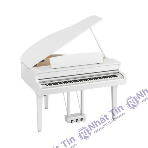 Đàn piano điện Yamaha CLP895 GP