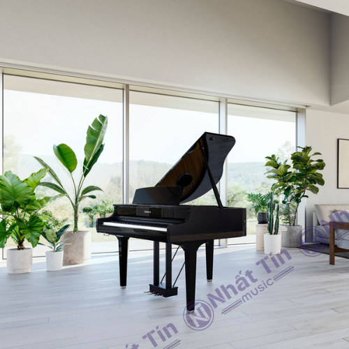 Đàn piano điện Yamaha CLP895 GP