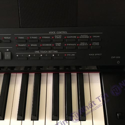 Đàn piano điện Yamaha CVP509