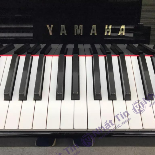 Đàn piano điện Yamaha DGP5