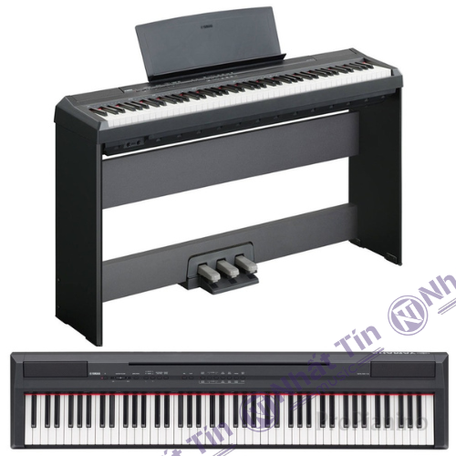 Đàn piano điện Yamaha P105