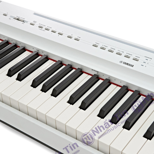 Đàn piano điện Yamaha P125