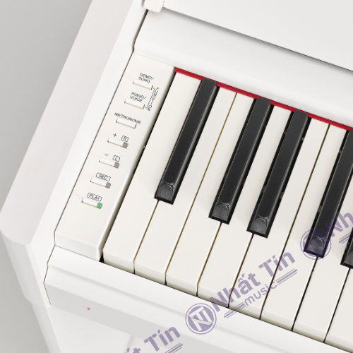 Đàn piano điện Yamaha YDP S54