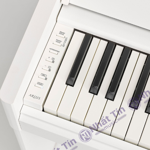 Đàn piano điện Yamaha YDP S55