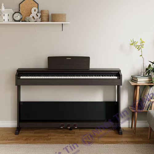 Đàn piano điện Yamaha YDP105