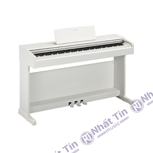 Đàn piano điện Yamaha YDP144