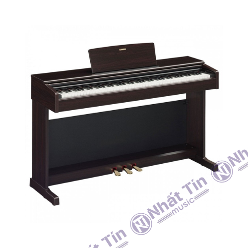 Đàn piano điện Yamaha YDP145