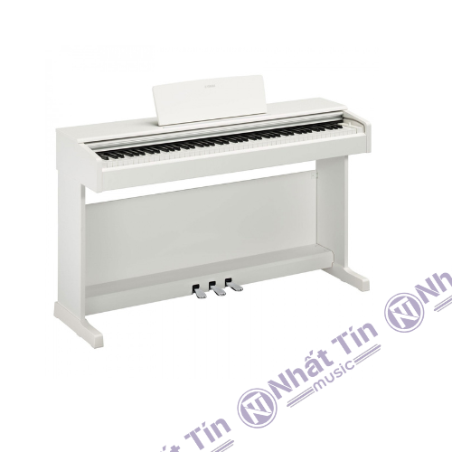 Đàn piano điện Yamaha YDP145