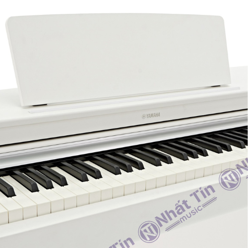 Đàn piano điện Yamaha YDP163