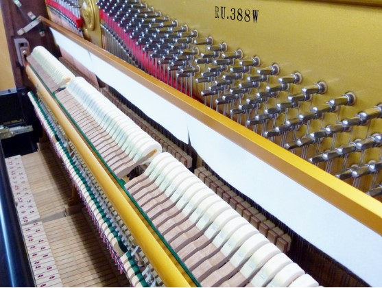 Đàn piano Upright Apollo RU388W