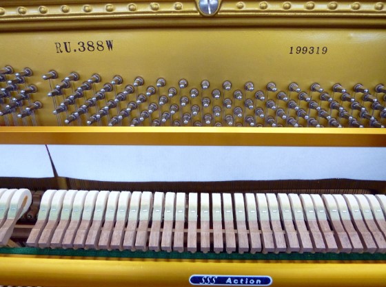 Đàn piano Upright Apollo RU388W