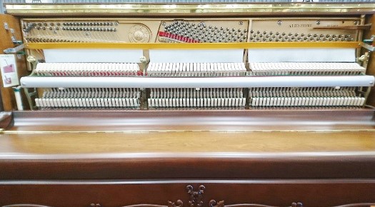 Đàn piano Upright Apollo A120 Pierre