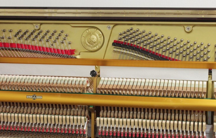 Đàn piano Upright Apollo  RU80